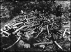 Corps of killed Armenians